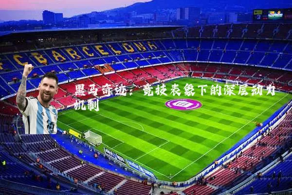 黑马奇迹:竞技表象下的深层动力机制